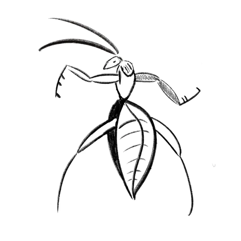 Black and white insect sketch