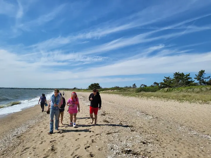 Friends walking along a beach